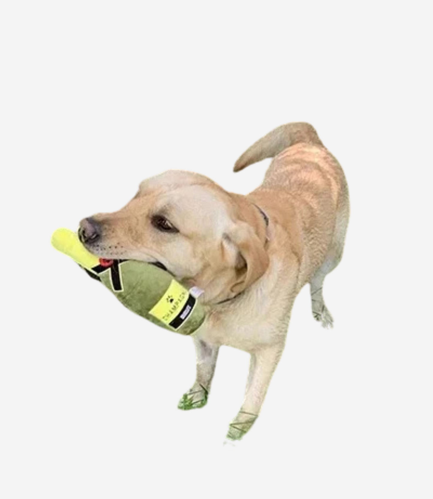 Bottle Plush Dog Toys