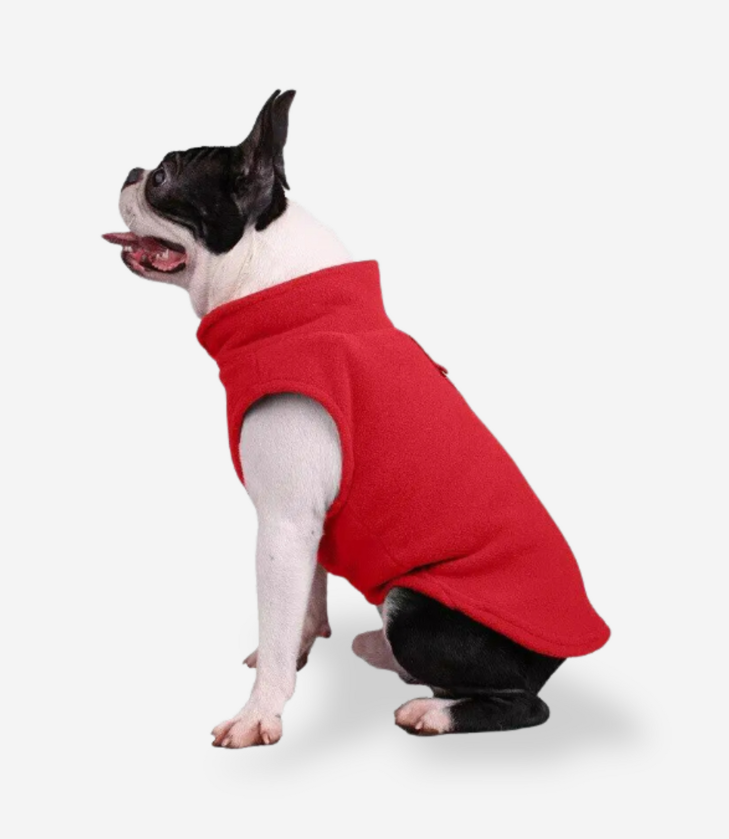 Winter Soft Fleece Sweater for Dogs