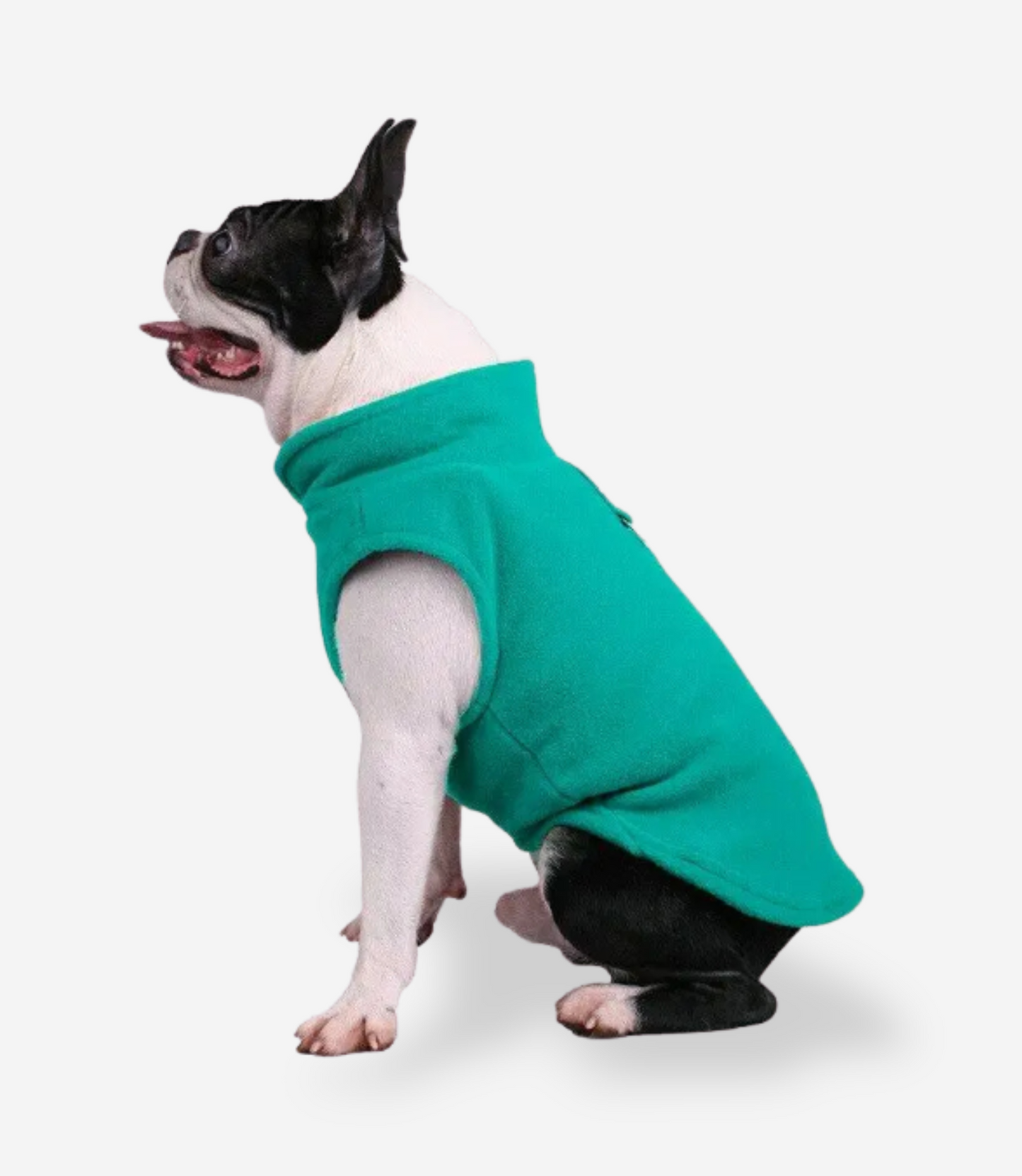 Winter Soft Fleece Sweater for Dogs