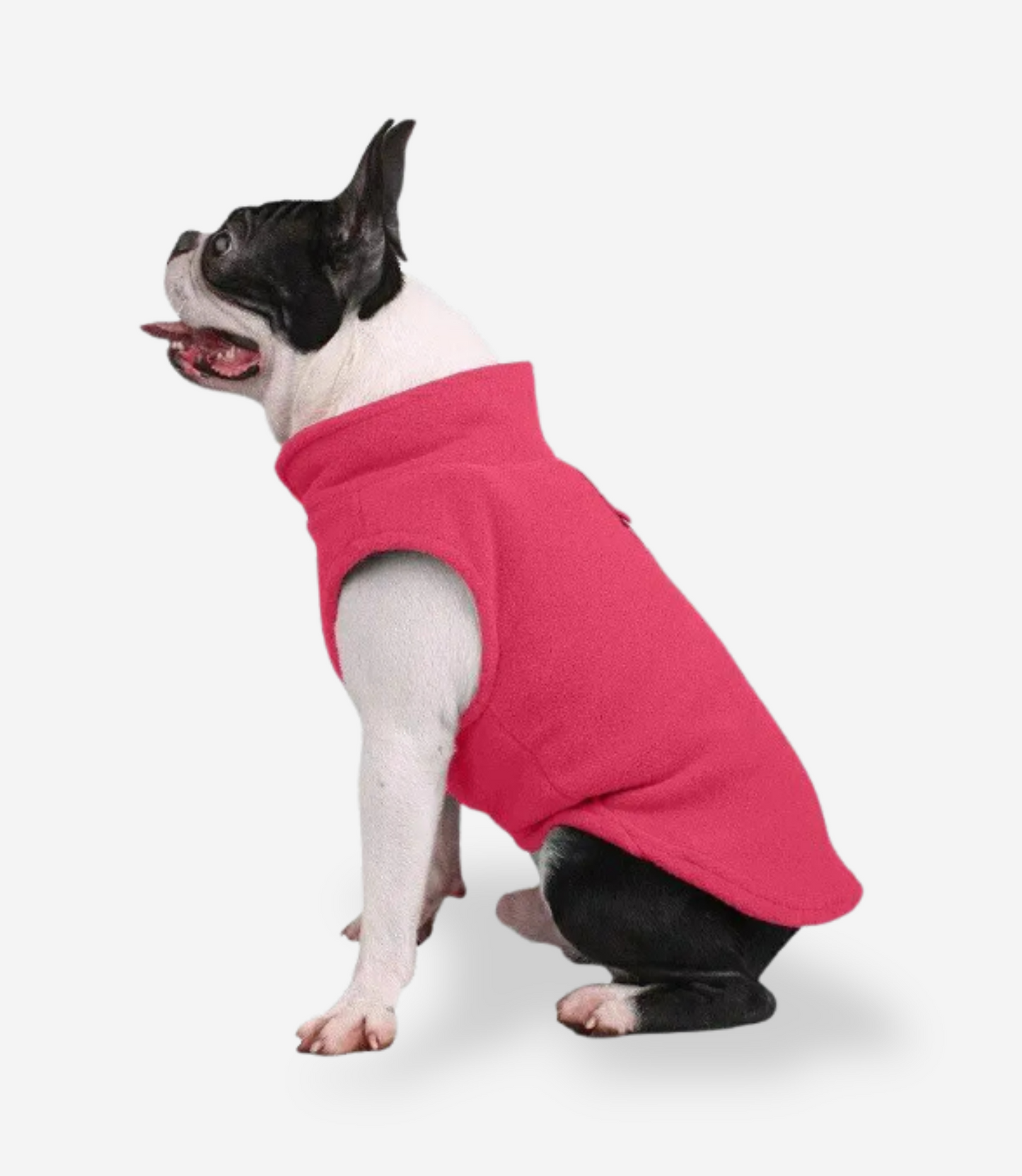 Winter Soft Fleece Sweater for Dogs