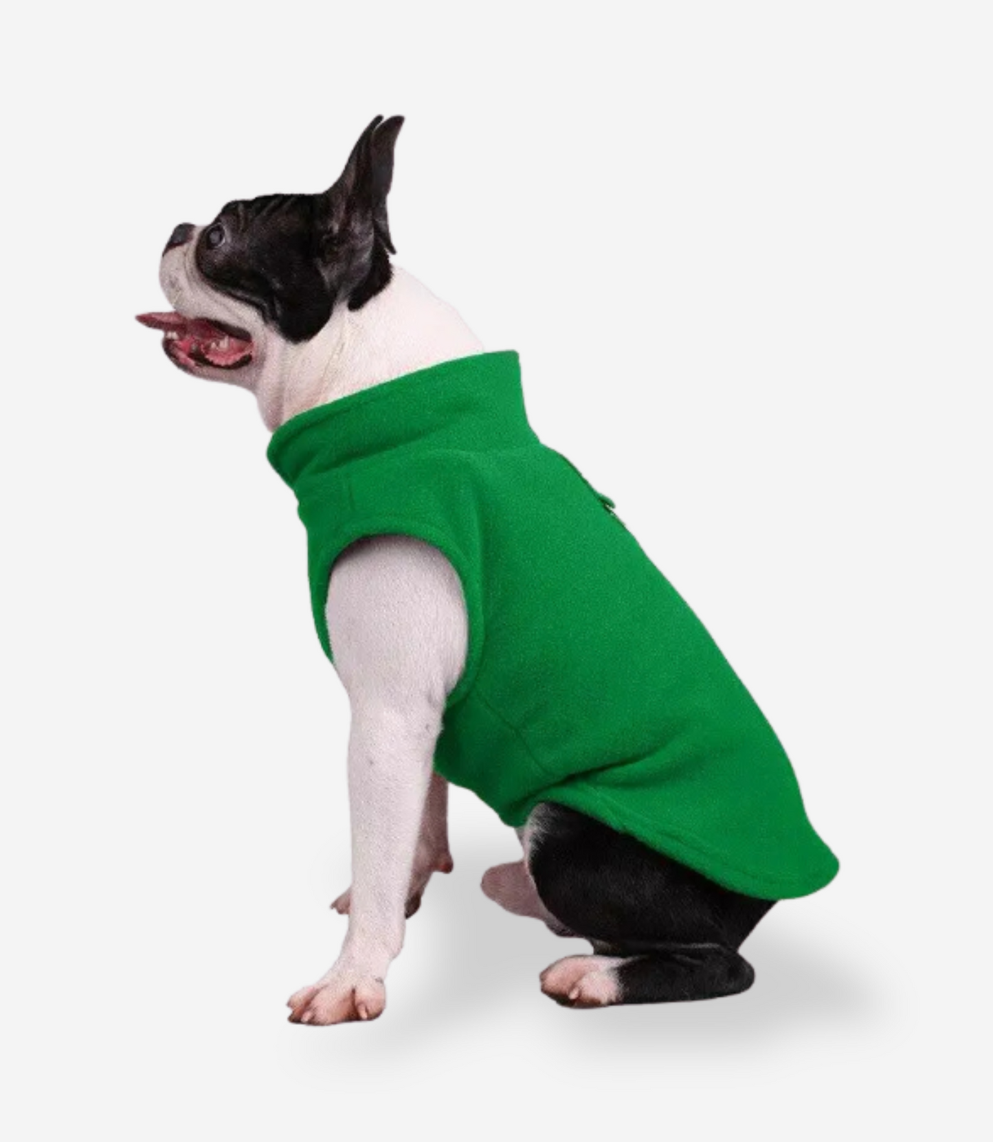 Winter Soft Fleece Sweater for Dogs