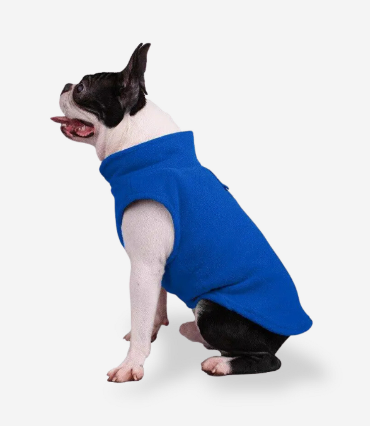 Winter Soft Fleece Sweater for Dogs