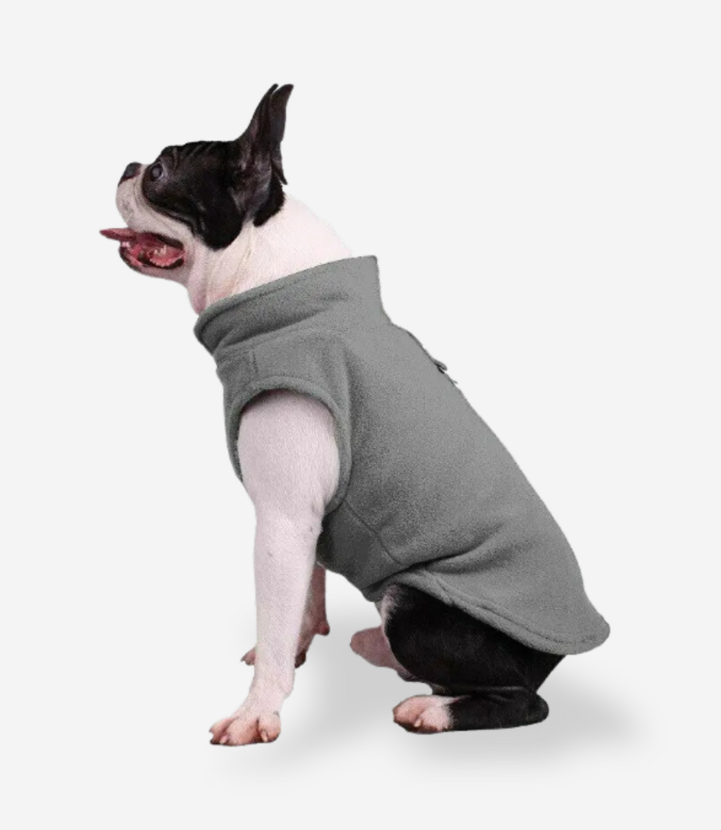 Winter Soft Fleece Sweater for Dogs