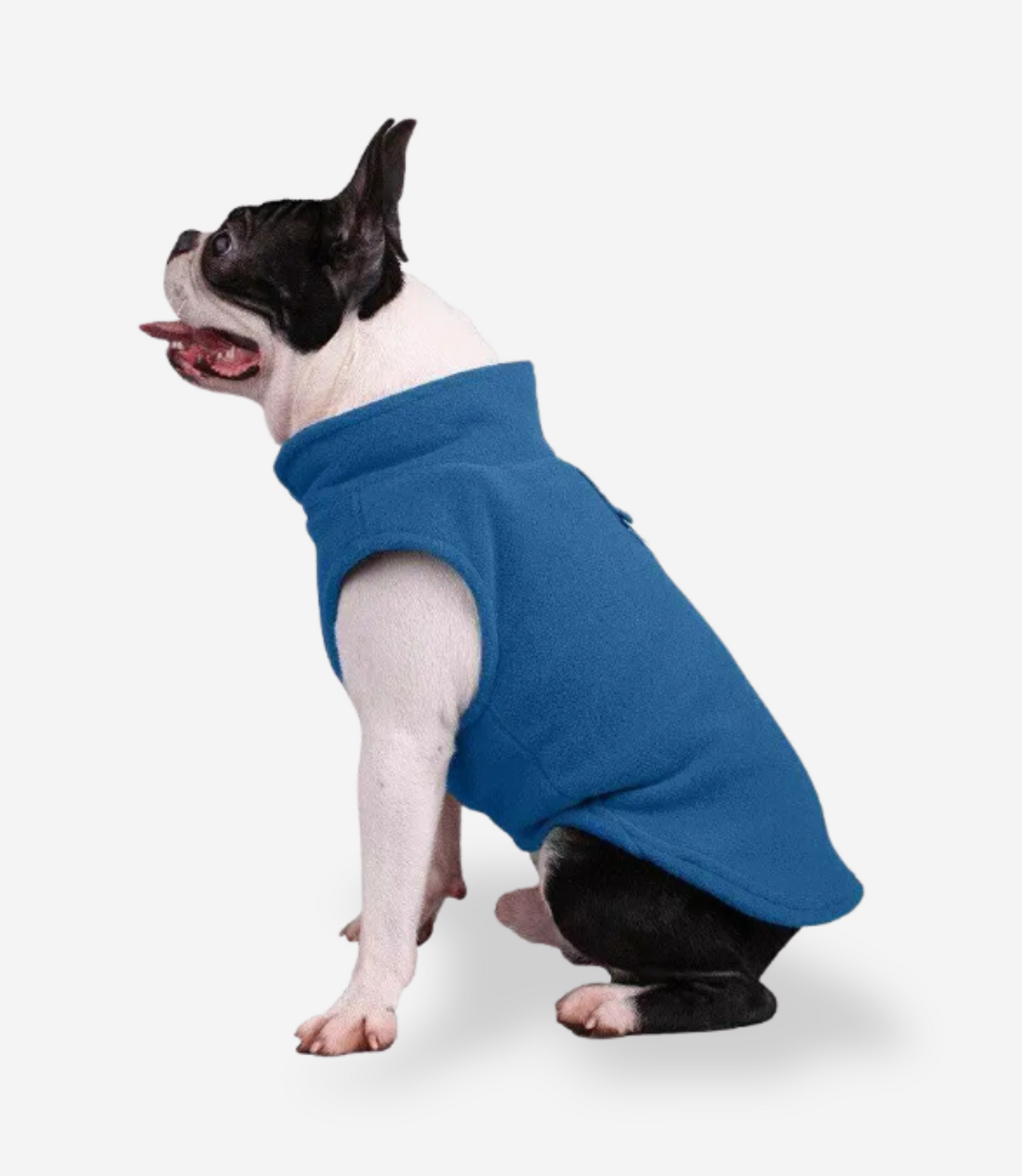 Winter Soft Fleece Sweater for Dogs