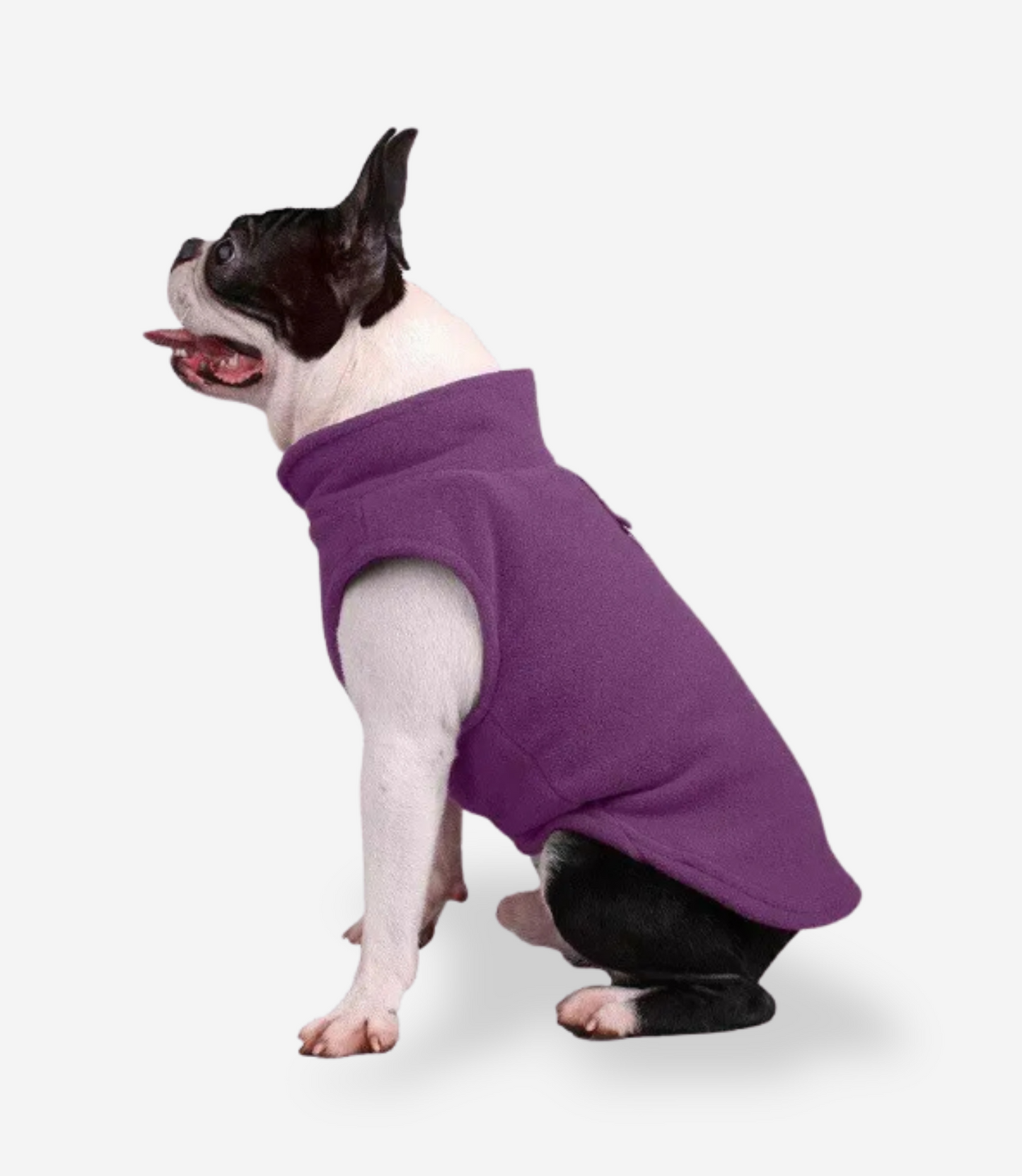 Winter Soft Fleece Sweater for Dogs