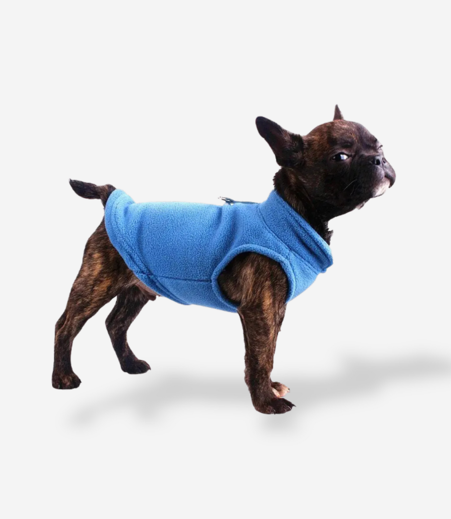 Winter Soft Fleece Sweater for Dogs