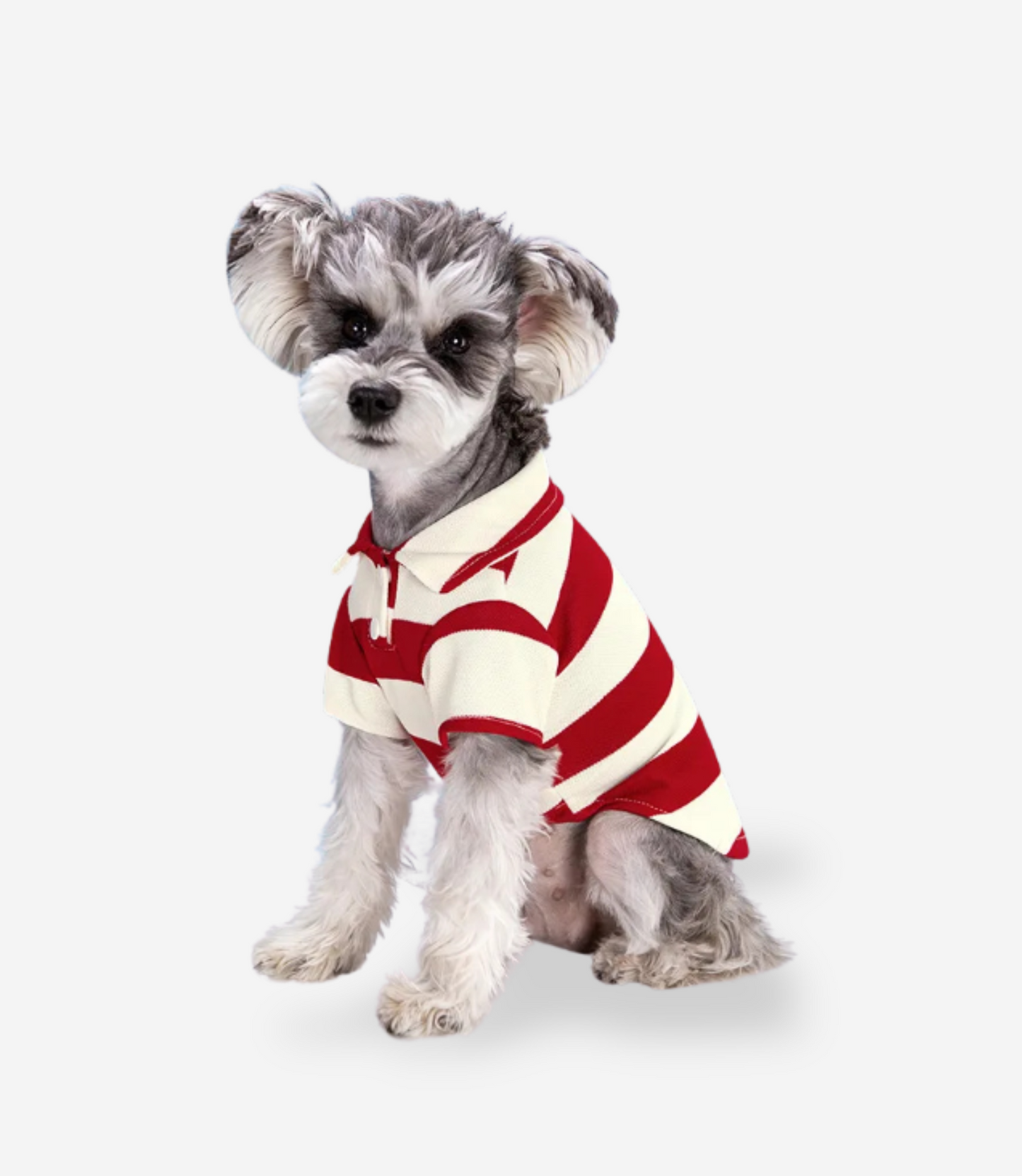 Puppy Polo Shirt
