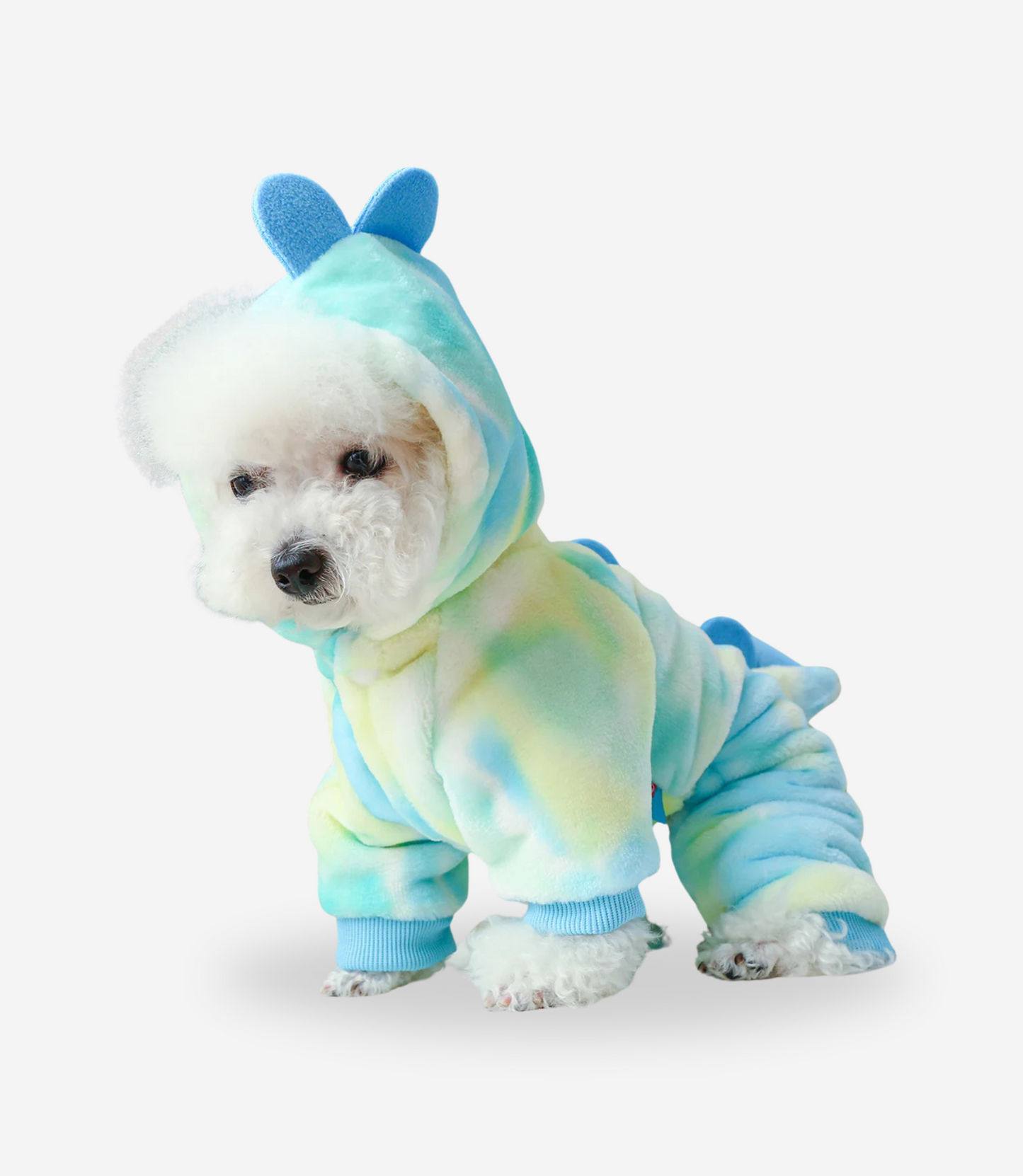 Cute Dinosaur Costume