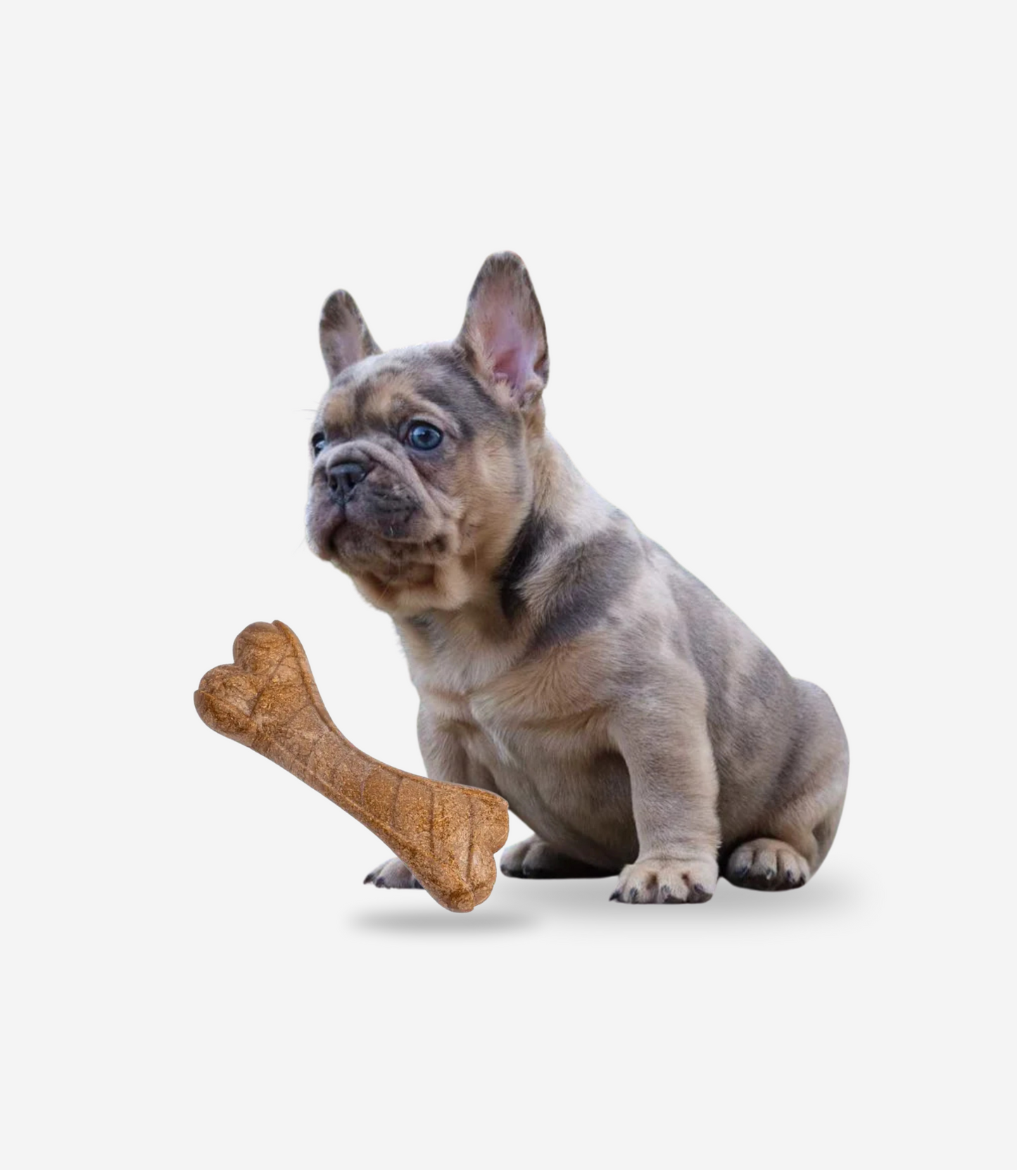 Dog Teeth Cleaning Chew Bone