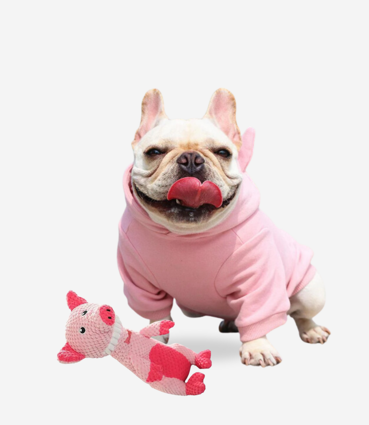 Pig Squeaky Dog Toys