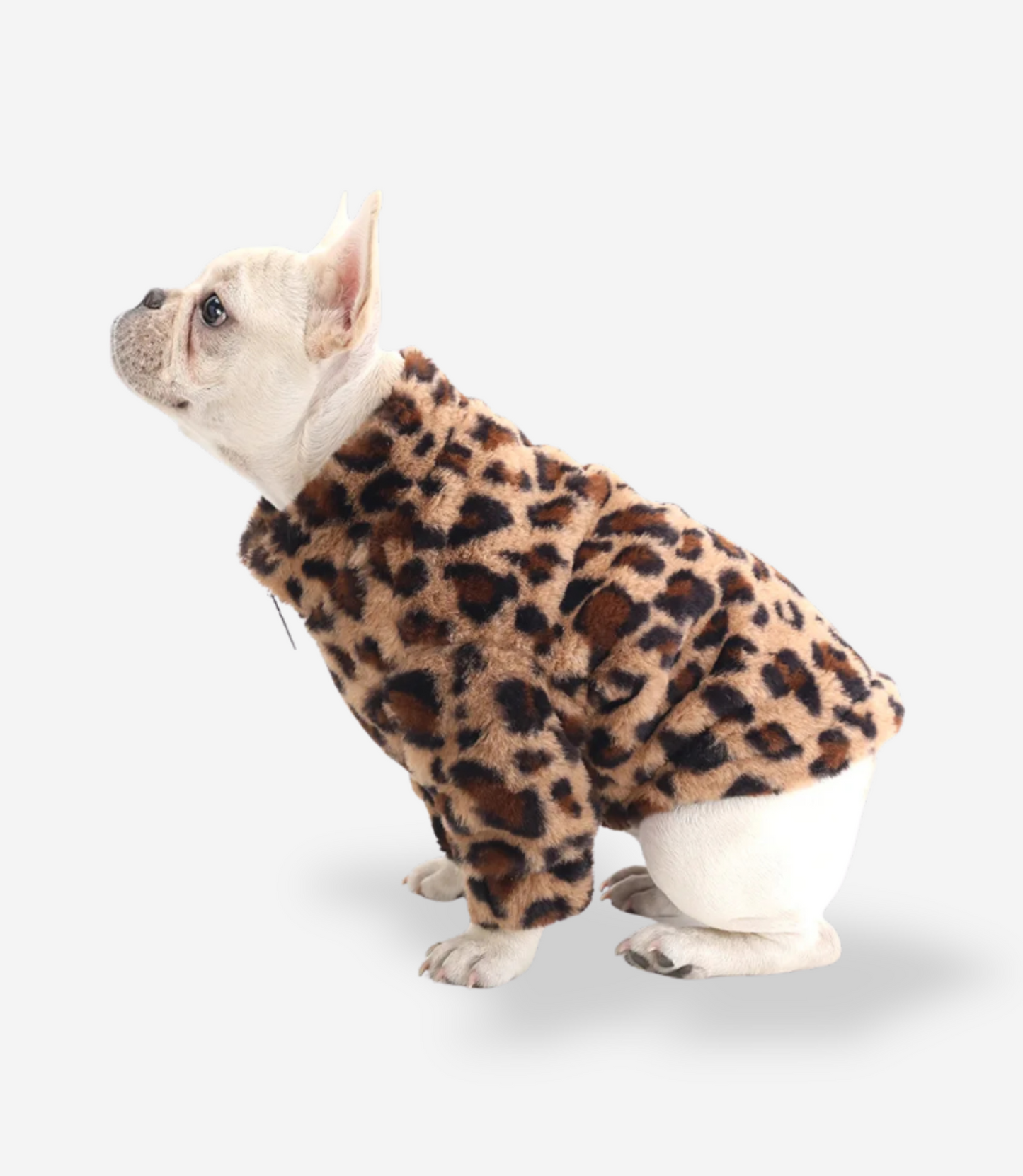Premium Leopard Puppy Fur Coat