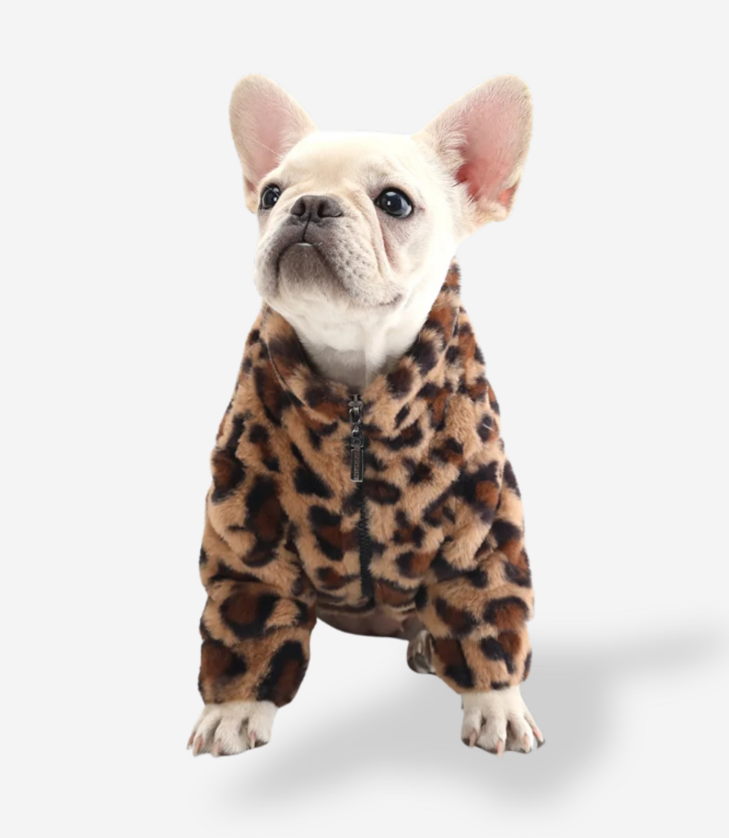 Premium Leopard Puppy Fur Coat