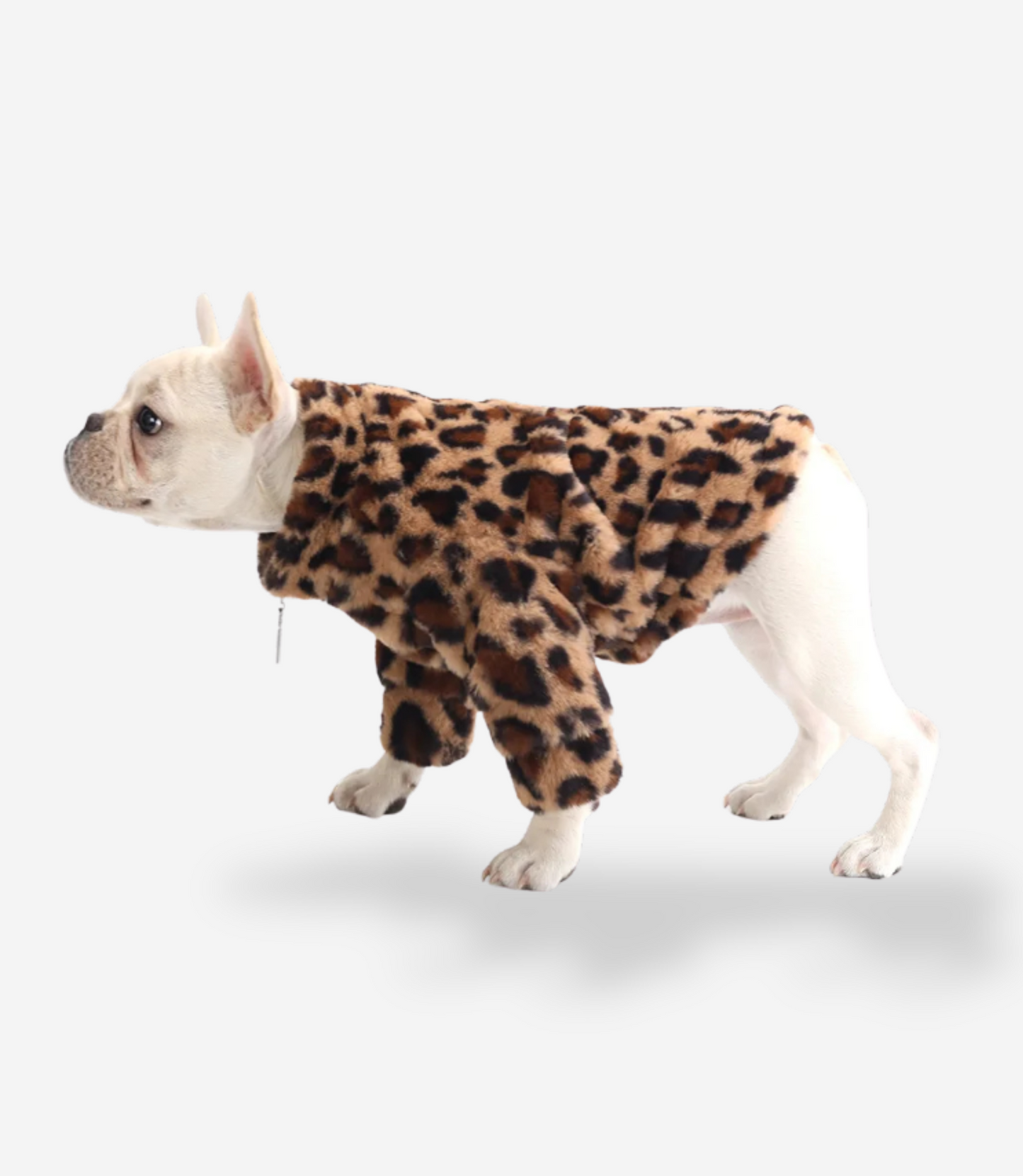 Premium Leopard Puppy Fur Coat