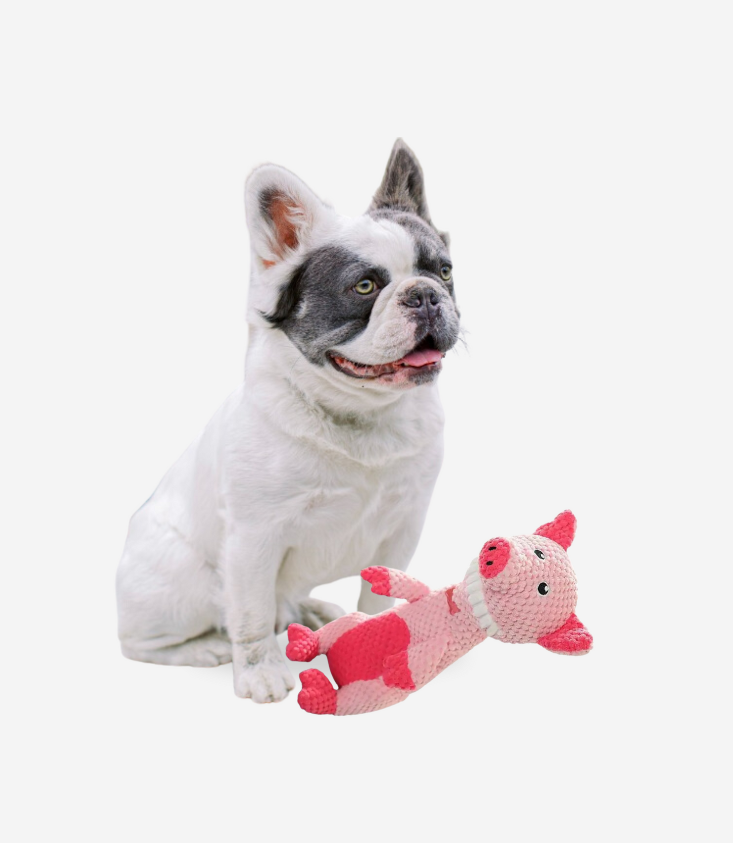 Pig Squeaky Dog Toys
