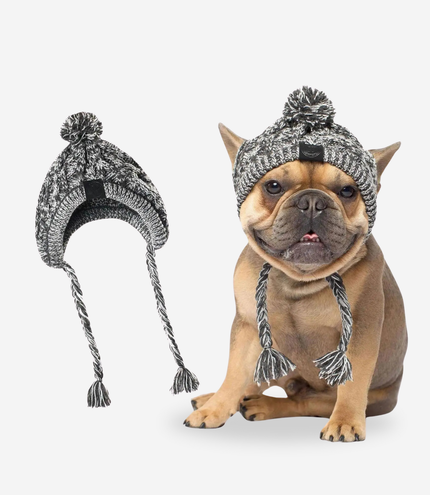 Winter Dog Hat