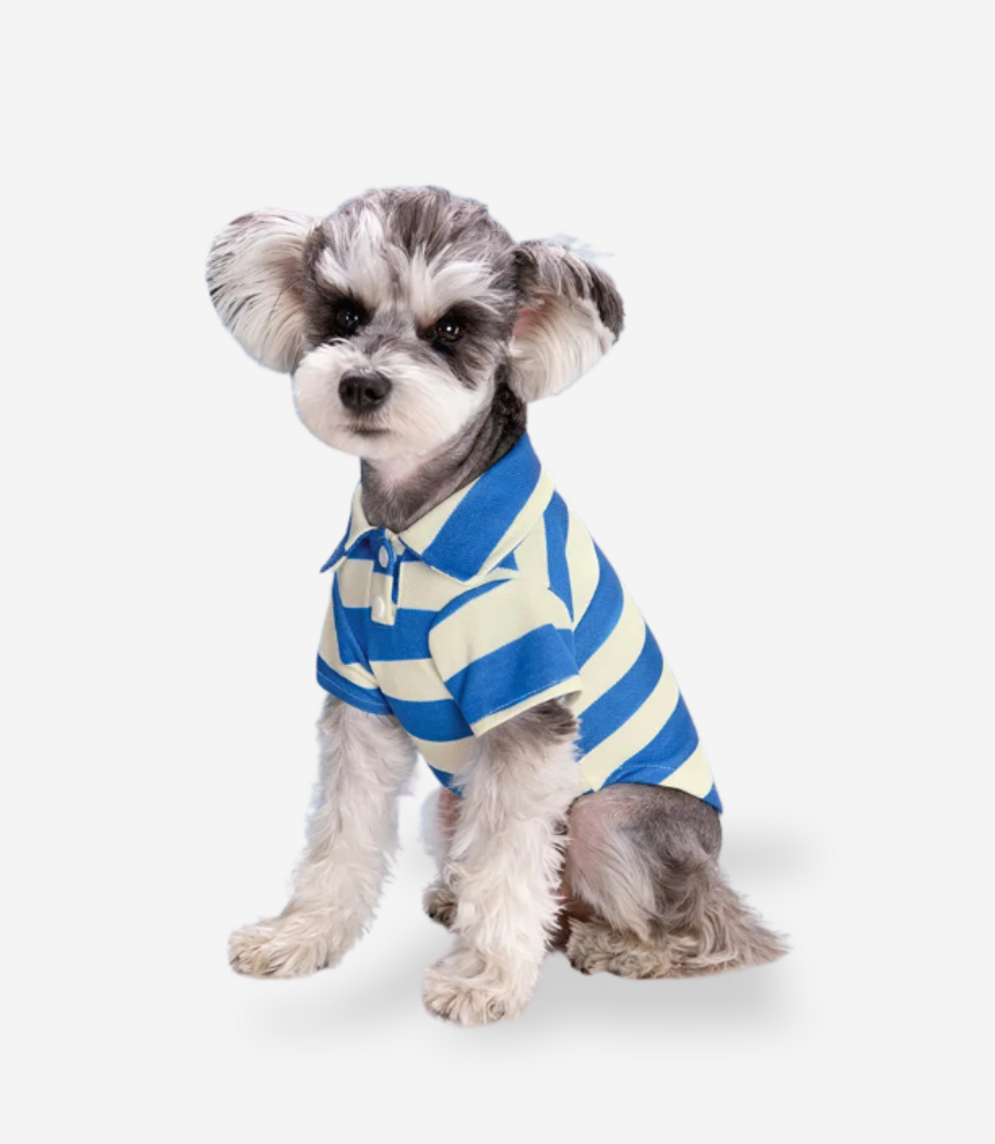 Puppy Polo Shirt