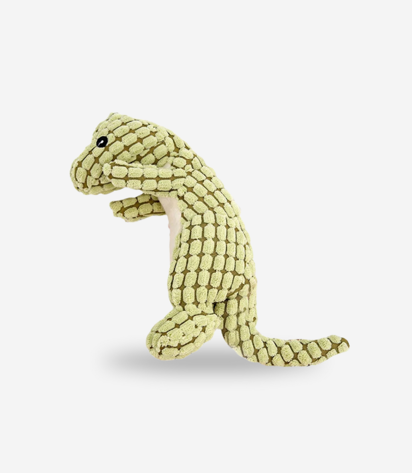 Dinosaur Squeaky Chew Toy