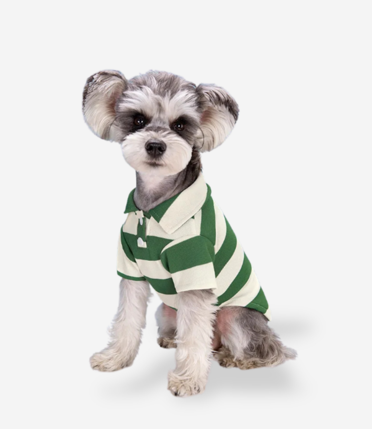 Puppy Polo Shirt
