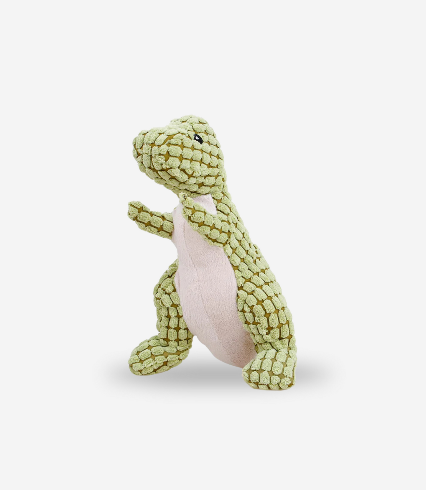 Dinosaur Squeaky Chew Toy