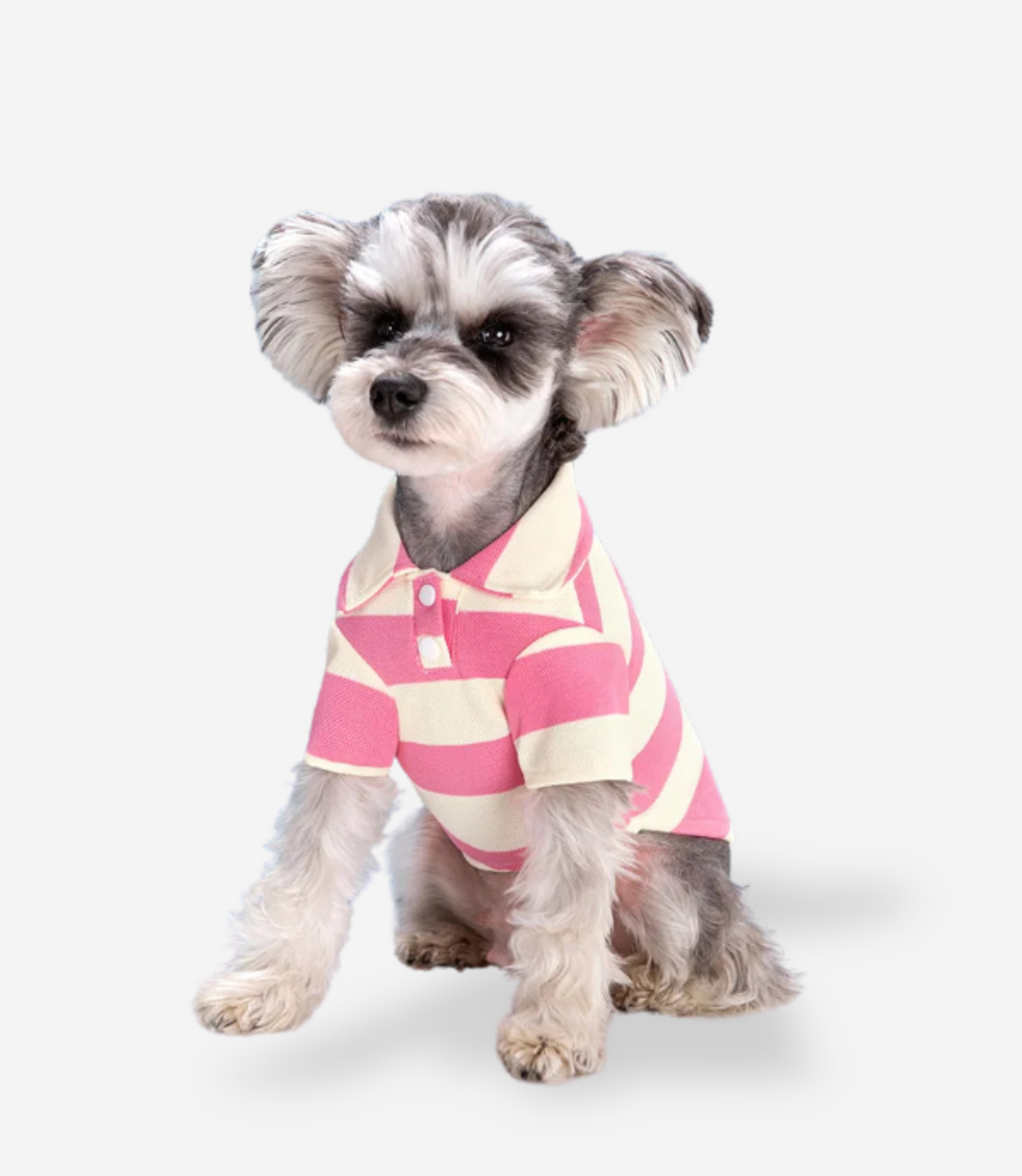Puppy Polo Shirt