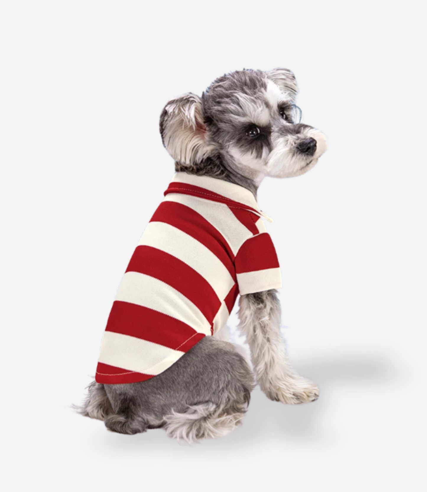 Puppy Polo Shirt