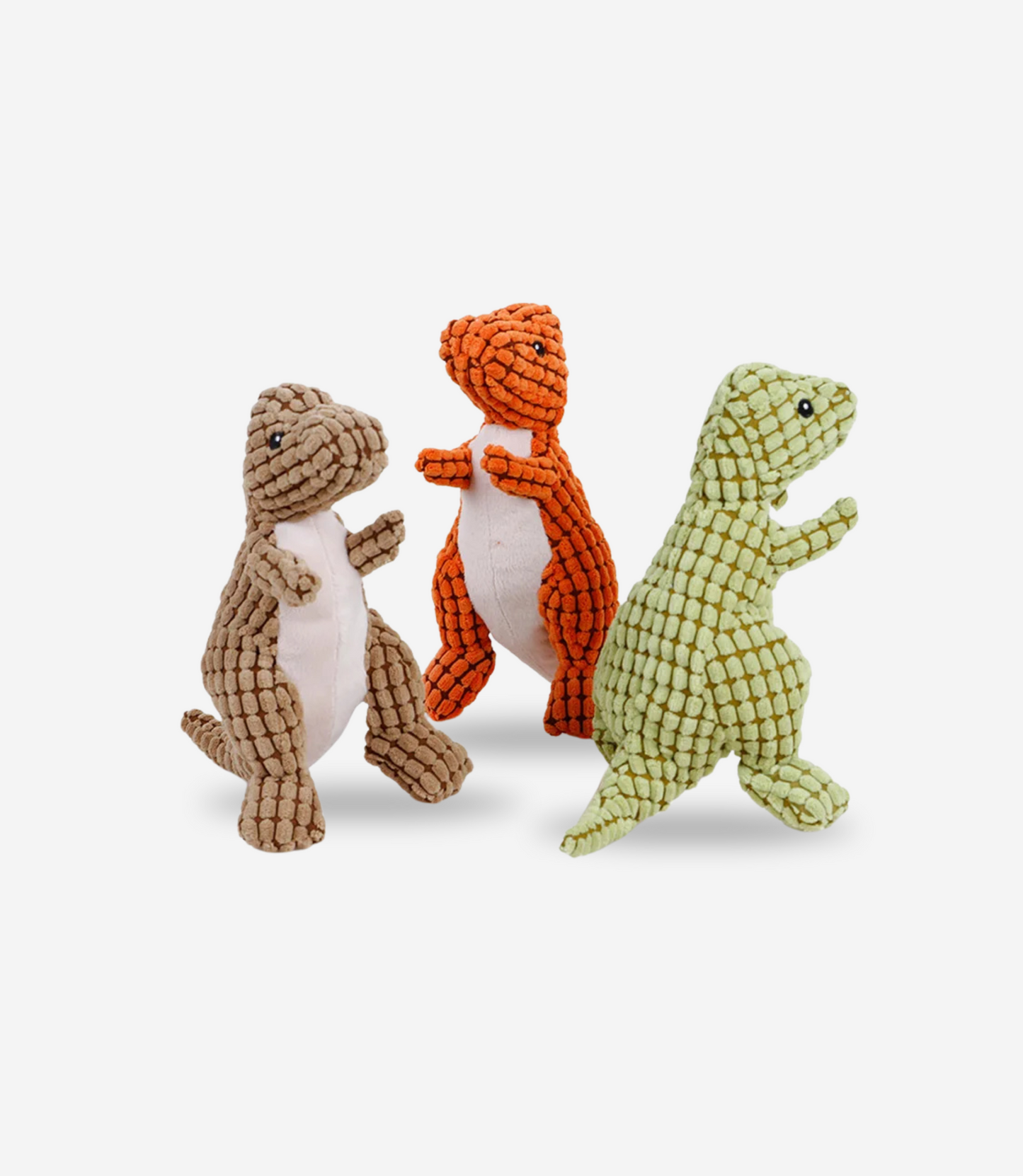 Dinosaur Squeaky Chew Toy