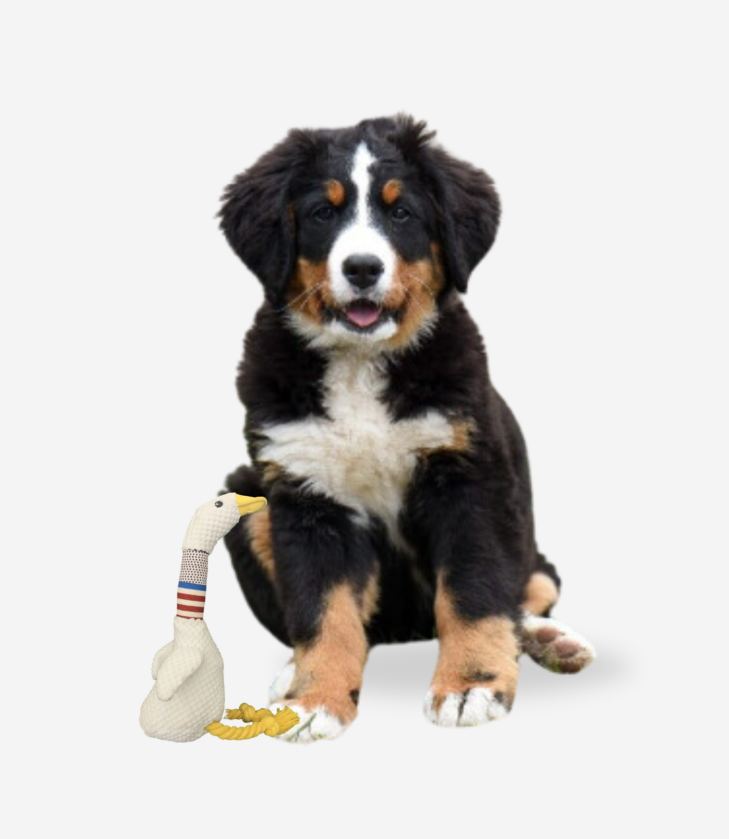 Plush Goose Squeaky Dog Toy