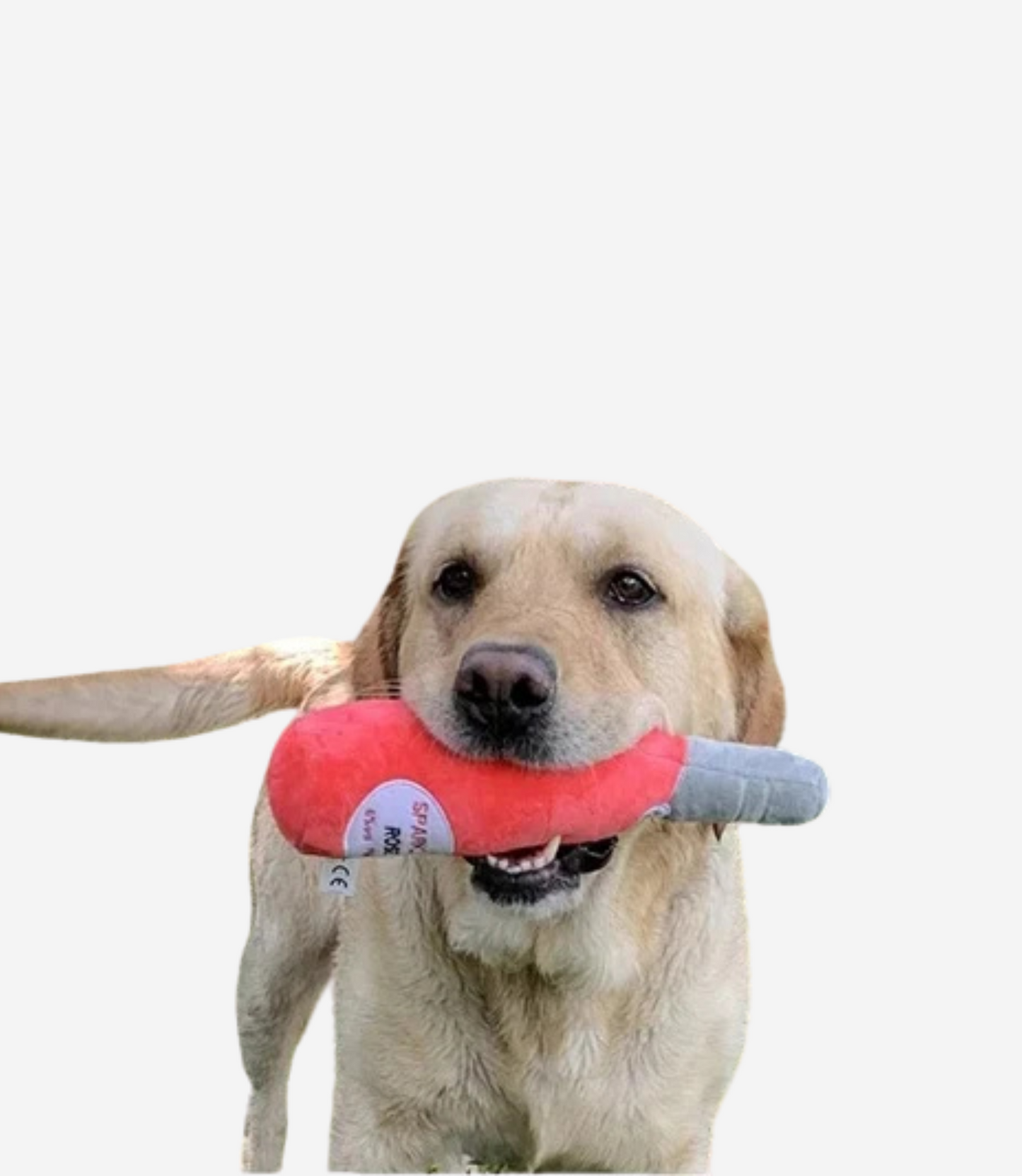 Bottle Plush Dog Toys