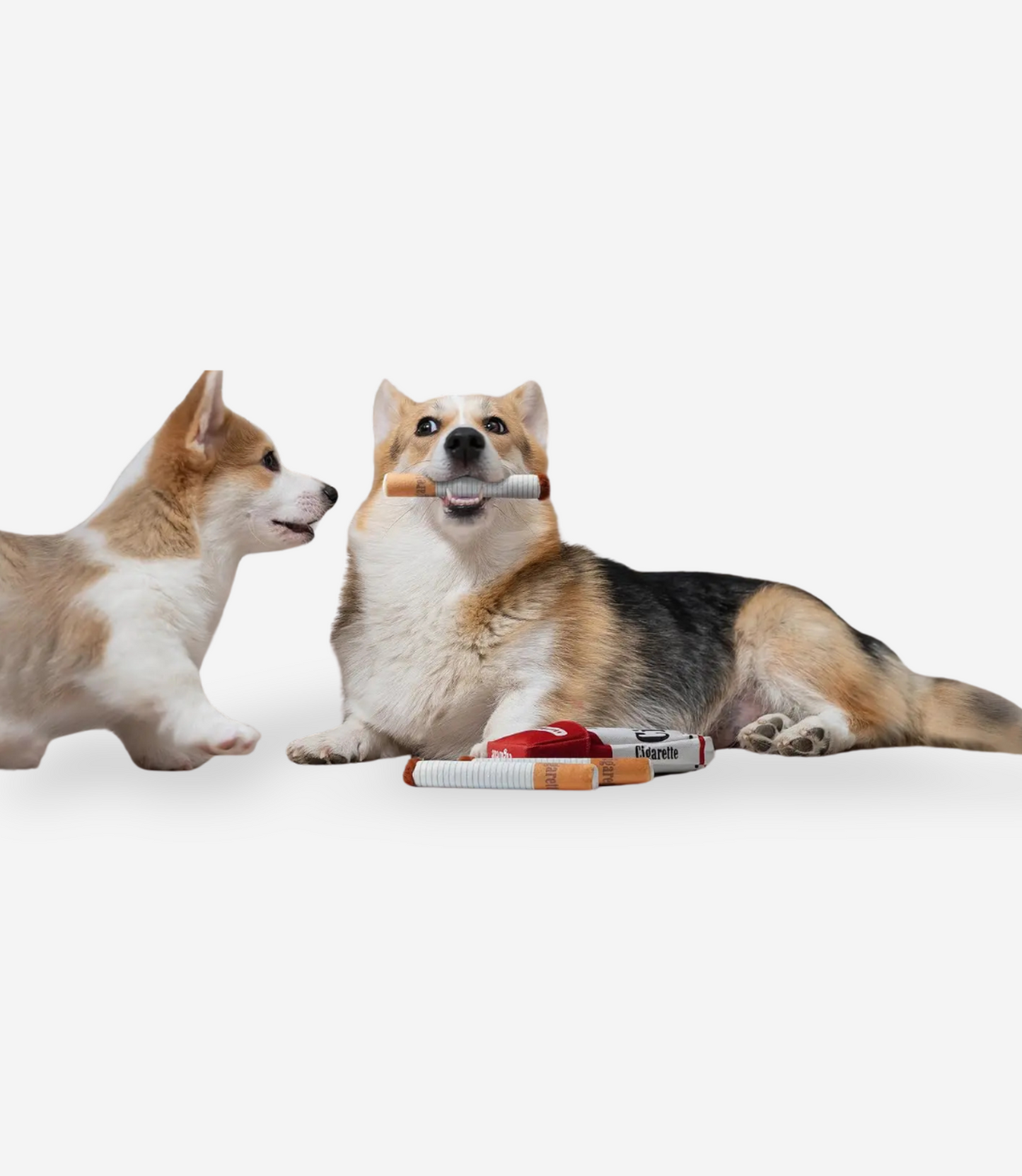 Cigarette Squeaky Dog Toys