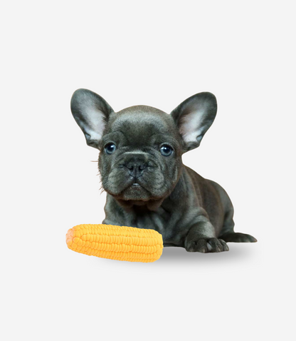 Corn Rubber Dog Toy