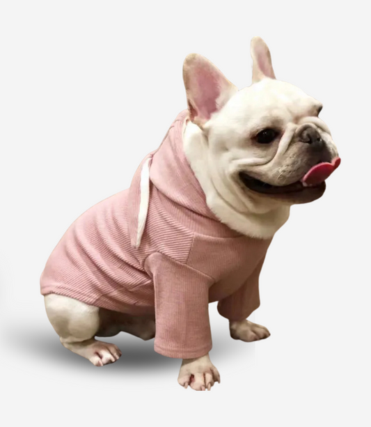 Rabbit Ear Winter Dog Hoodie
