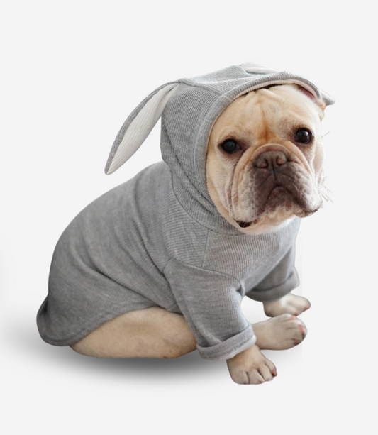Rabbit Ear Winter Dog Hoodie